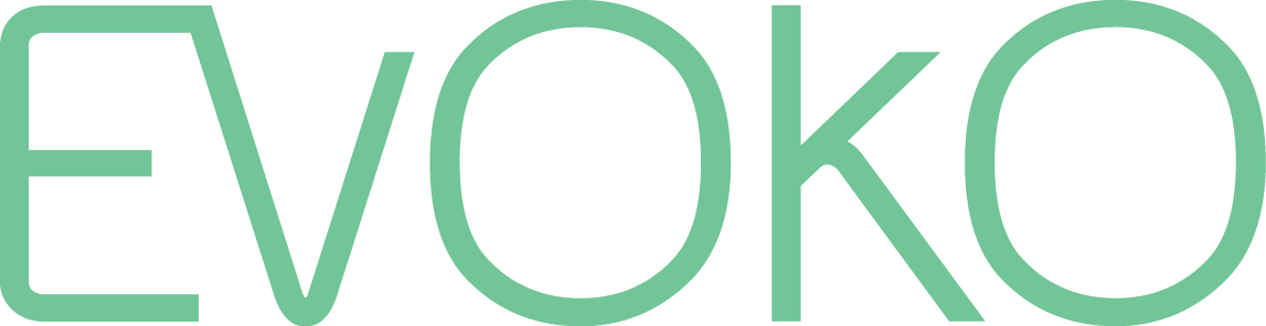 Image result for evoko logo